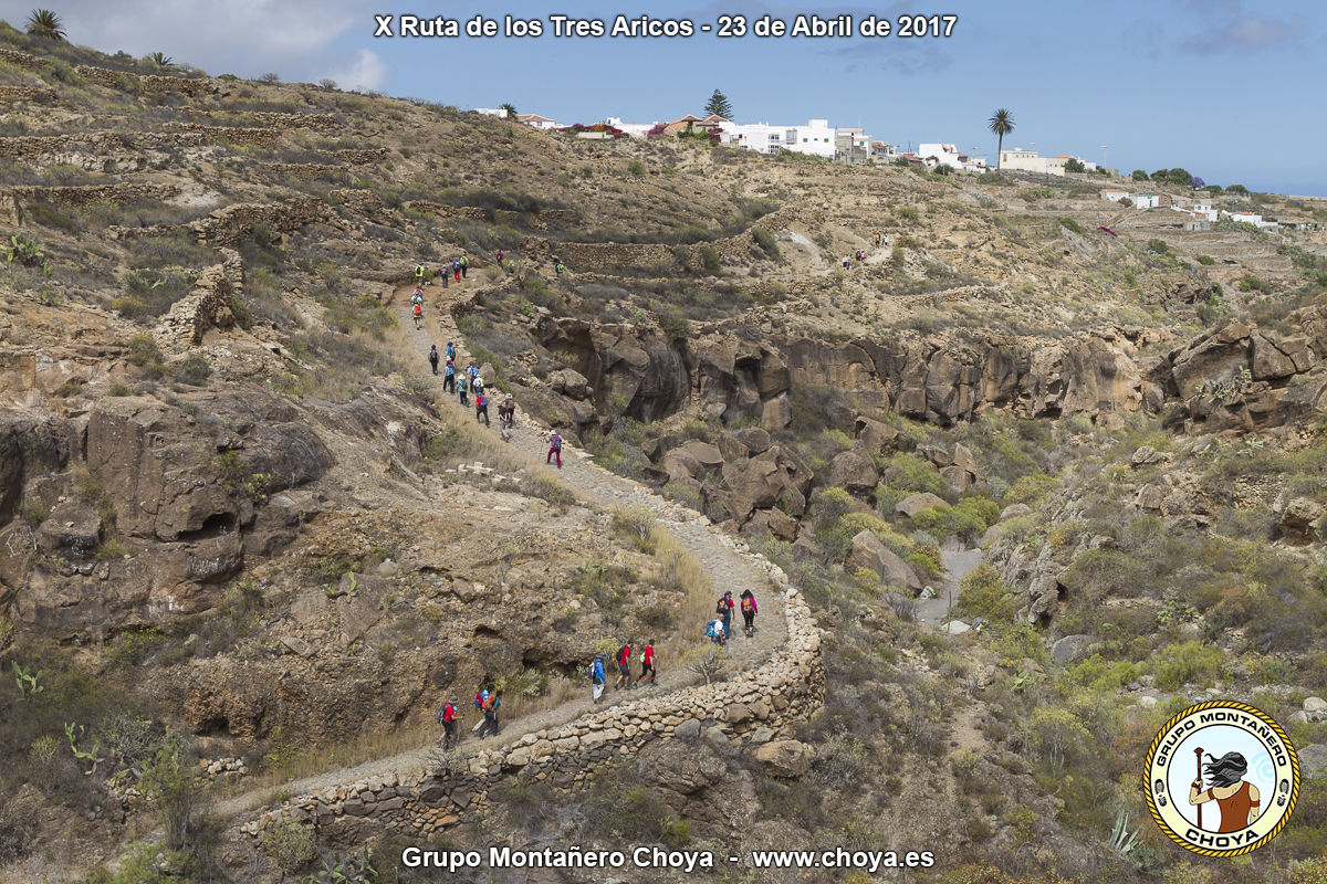 Ruta de Los Tres Aricos - Camino Real del Sur - Calzaditas de Arico El Nuevo - PR-TF 86