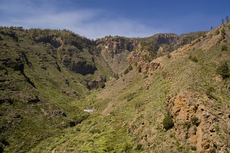 Barranco de Tamadaya (foto: José Castellano)