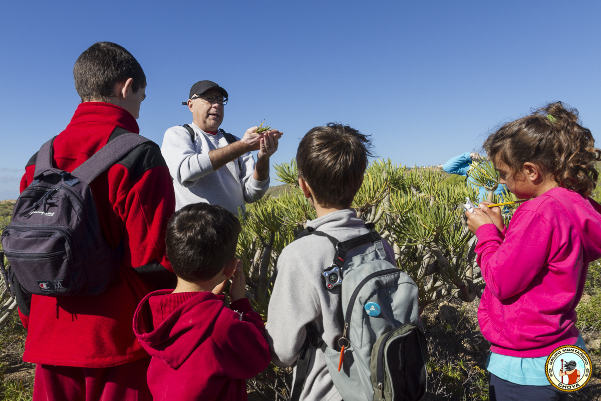 José García Casanova explicando las características del verode (Senecio kleinia L.)