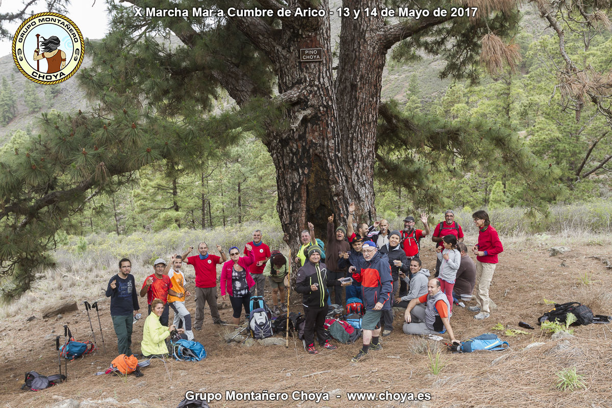 Reunión y descanso en el Pino Choya - PR-TF 86, Senderos de Arico, Tenerife