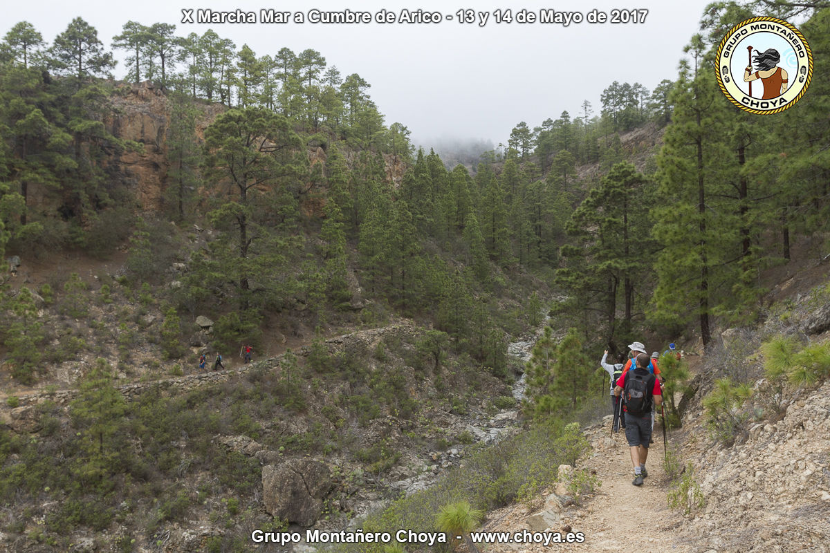 Paso del Barranco del Río Contador - PR-TF 86, Senderos de Arico, Tenerife