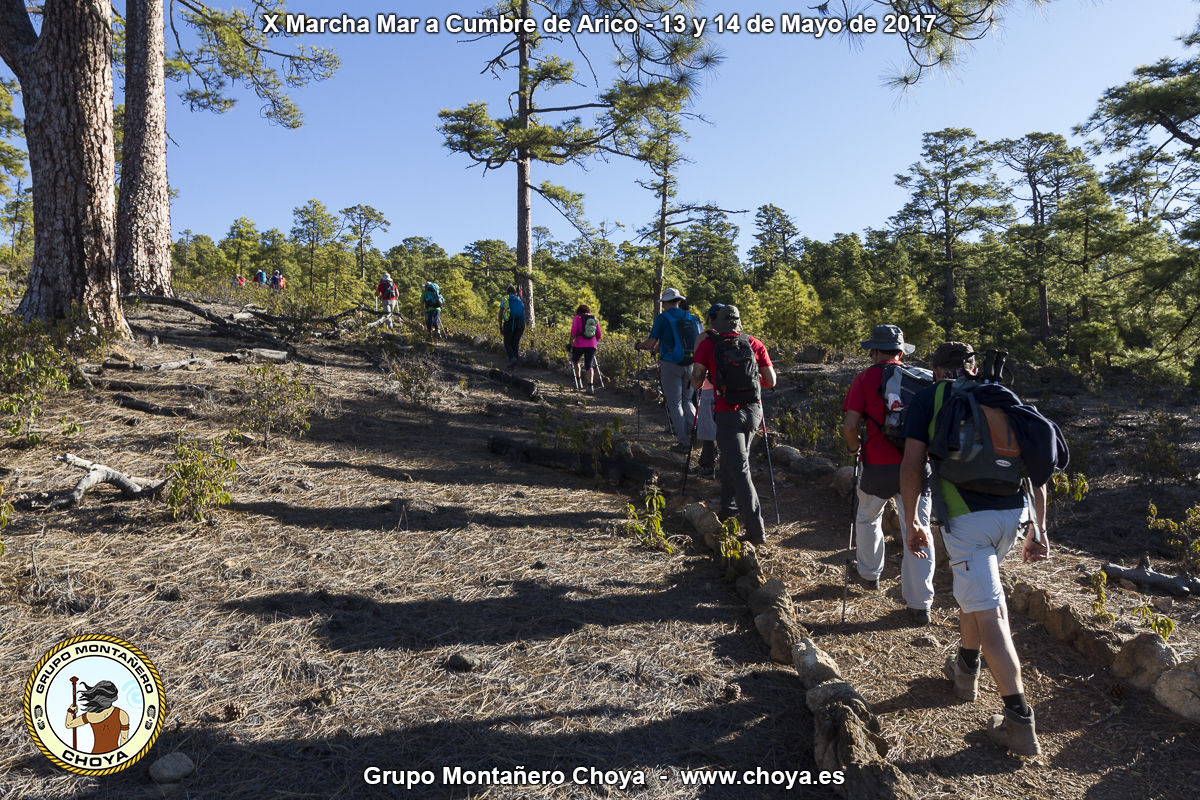 Llegando a Fuente del Llano - PR-TF 86, Senderos de Arico, Tenerife