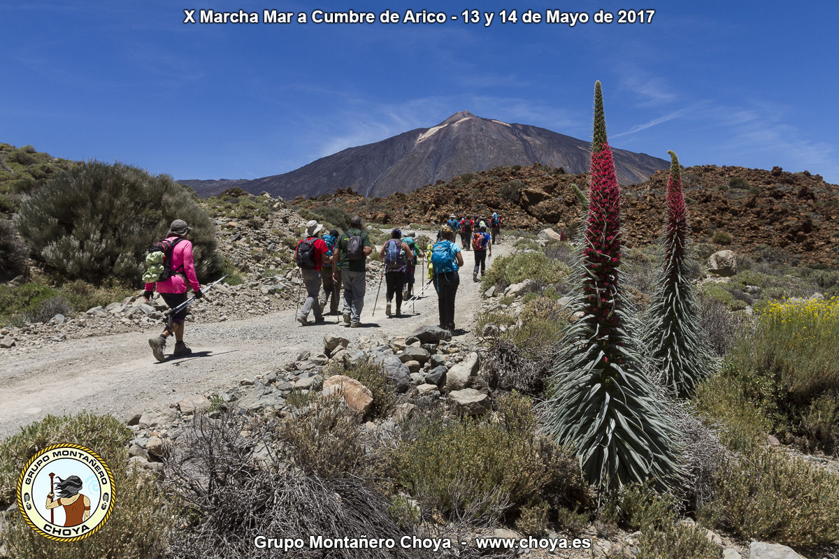 Pista de Siete Cañadas - PR-TF 86, Senderos de Arico, Tenerife