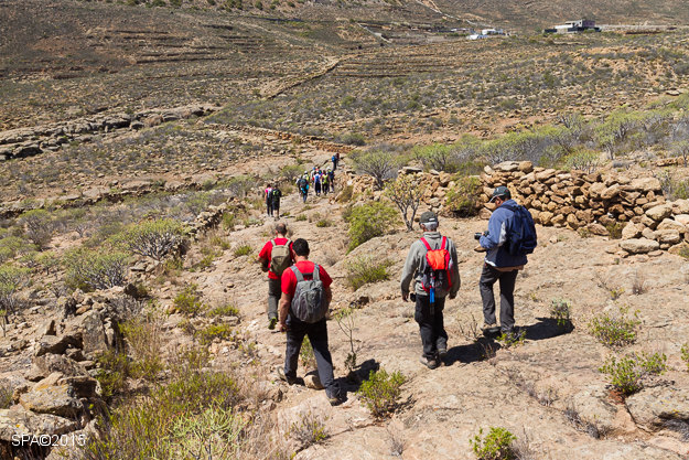 Ruta de Los Tres Aricos - Camino de Los Ovejeros